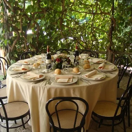 Paradiso 3*