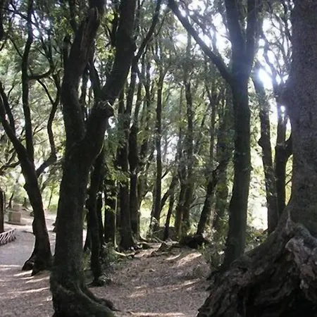 Paradiso 3*