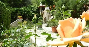 Hotel Paradiso 3*